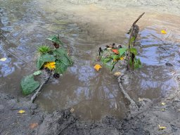 herbst25_17
